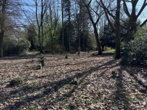 Familiengrab naturnah Urne - Friedhof Bochum-Langendreer