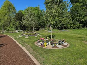 Familiengrab und Reihengrab Obstbaum - Hauptfriedhof Bochum, Freigrafendamm