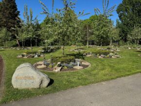 Familiengrab und Reihengrab Obstbaum - Hauptfriedhof Bochum, Freigrafendamm