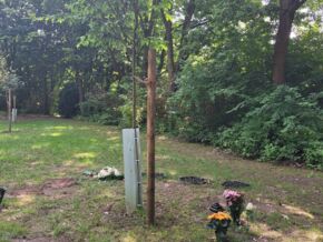 Reihengrab und Familiengrab Urne Friedhofshain - Friedhof Bochum-Querneburg